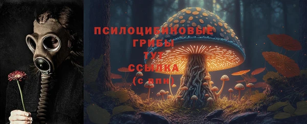 MESCALINE Богородицк