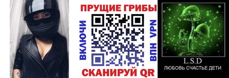 Псилоцибиновые грибы прущие грибы  omg ONION  Туран 